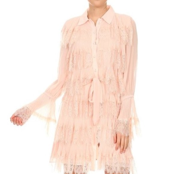 A Touch Of Romance Lace Dress Blush - Picture 2 of 4